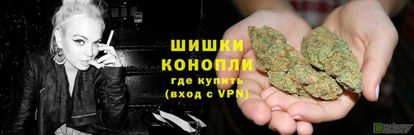 молекула духа Сосновка