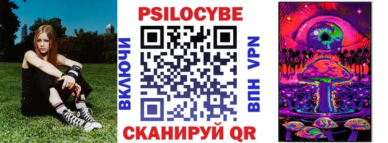 Псилоцибиновые грибы Cubensis  продажа наркотиков  Нальчик 