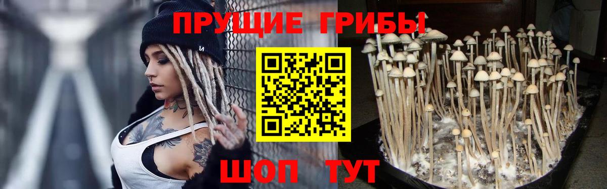 Галлюциногенные грибы Magic Shrooms Нальчик